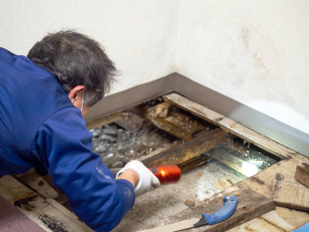 Water Damage Restoration in Potosi, MO