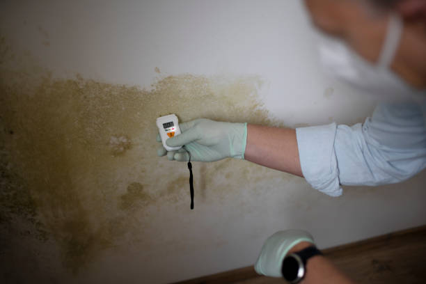 Best Mold Testing  in Potosi, MO
