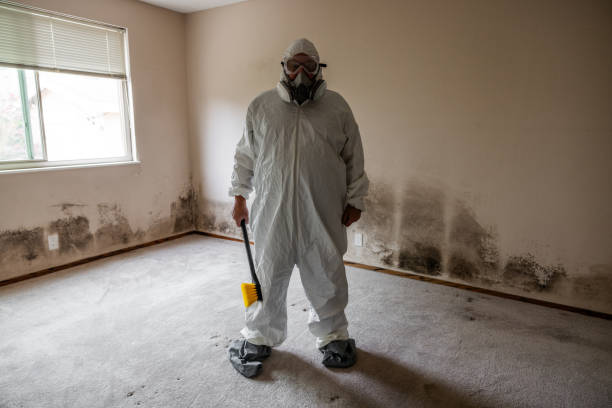 Best Mold Testing and Removal  in Potosi, MO